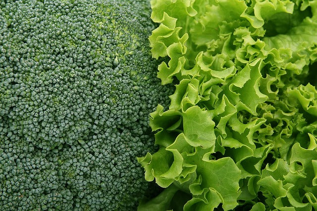Harnessing the Power of Antioxidants: A Closer Look at Supplementing Your Diet