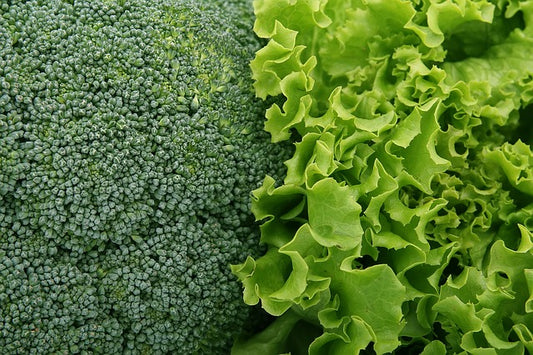 Harnessing the Power of Antioxidants: A Closer Look at Supplementing Your Diet